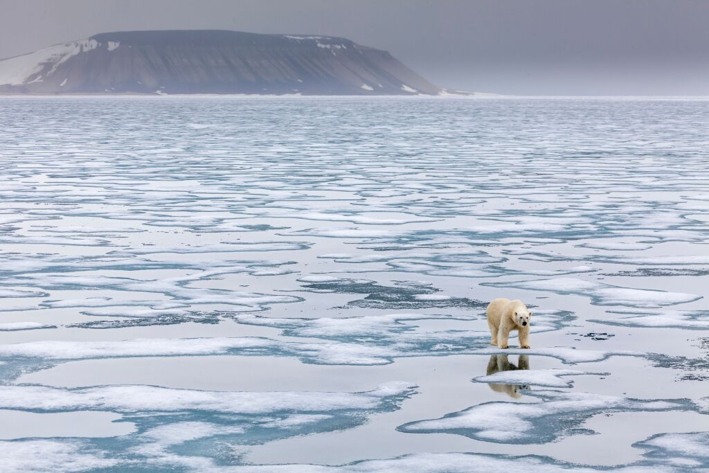 Arctique, miroir glacé des ambitions globales