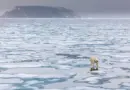 Arctique, miroir glacé des ambitions globales