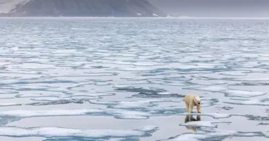 Arctique, miroir glacé des ambitions globales