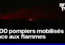 Ardèche, Martigues, Brocéliande, Fréjus… La France en proie aux flammes
