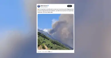 Ardèche : un incendie en cours a déjà détruit près de 40 hectares