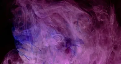 Art visuel : Temandrota intègre The Ocean Manifesto