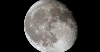 Astronomie : pourquoi peut-on observer autant d’étoiles filantes chaque été ?