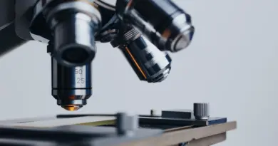 Attractivité des métiers de la santé à Mayotte : des mesures concrètes