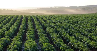 Aveyron : une plateforme d’approvisionnement local pour soutenir l’agriculture et les circuits courts