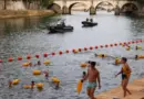 Baignade dans la Seine : les premières images des nageurs dans le bassin du bras Marie à Paris ce samedi