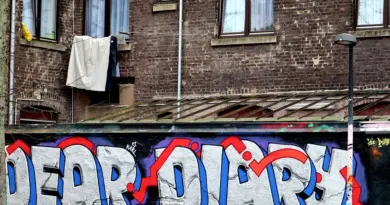 Bar-le-Duc. Street art : laissés à l’imagination des artistes graffeurs, trois murs célèbrent l’art urbain