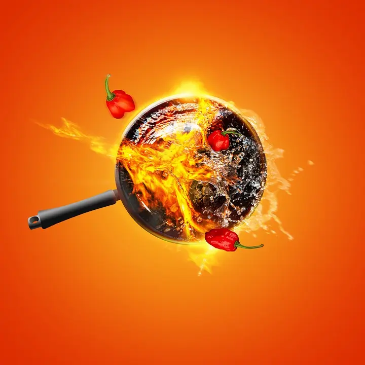 Barbecue, four d’extérieur : Top 3 des meilleurs produits Ninja pour cuisiner dehors