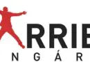 Brand Manager (FMCG)