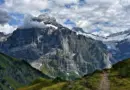 Briançon. Pourquoi le verger de La Schappe est-il à l’abandon ?