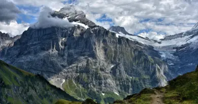 Briançon. Pourquoi le verger de La Schappe est-il à l’abandon ?