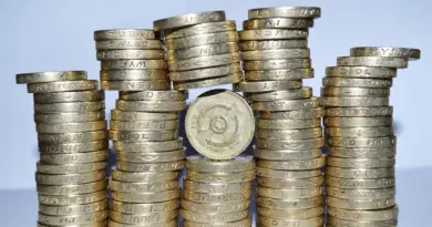 Budget européen, la disparition de la PAC ?