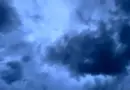 Bulletin allergo-pollinique pour dimanche 27 juillet : amélioration pour les allergies grâce à la pluie
