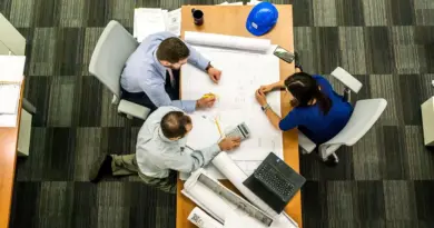 Business Architect