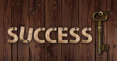 Business Development Executive