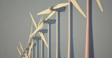 COP 30 : la délégation belge resserre les rangs et ne comptera que deux ministres du Climat sur quatre