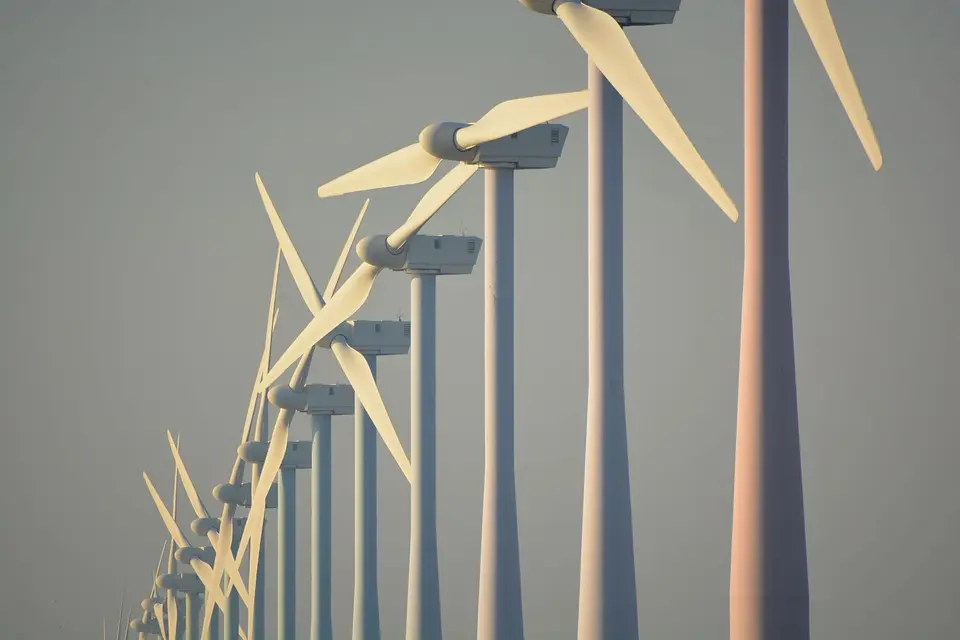COP 30 : la délégation belge resserre les rangs et ne comptera que deux ministres du Climat sur quatre