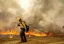 Californie : les pompiers progressent dans la lutte contre un gigantesque incendie « Madre Fire »