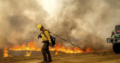 Californie : les pompiers progressent dans la lutte contre un gigantesque incendie « Madre Fire »