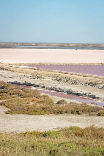 Camargue : Christophe Berti, sellier maroquinier et Meilleur Ouvrier de France