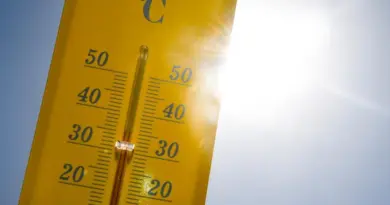 Canicule : 480 morts de plus que la normale au début de l’été