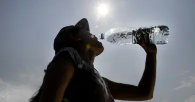 Canicule : comment notre corps réagit au contact des fortes chaleurs
