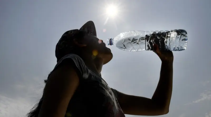 Canicule : comment notre corps réagit au contact des fortes chaleurs
