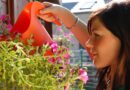 Canicule : la Haute-Saône placée en alerte sécheresse : quelles interdictions vous concernent ?