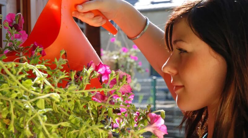 Canicule : la Haute-Saône placée en alerte sécheresse : quelles interdictions vous concernent ?