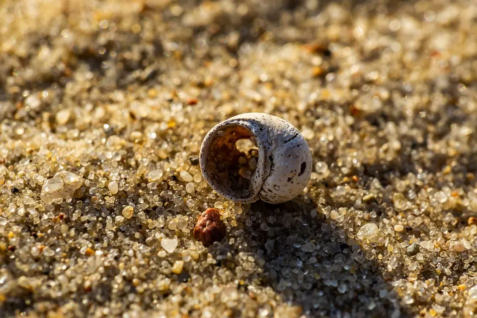 Catastrophes naturelles : la désinformation sur les réseaux sociaux « met des vies en danger »
