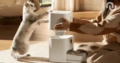 Ce distributeur de croquettes en promo nourrit vos animaux en votre absence