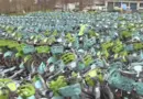 «Ce ne sont que quelques fraudeurs mais ça suffit à mettre le système en l’air» : le coup de gueule de l’organisme public qui gère les Vélib’
