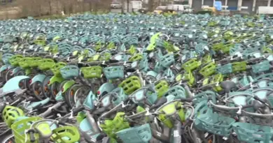 «Ce ne sont que quelques fraudeurs mais ça suffit à mettre le système en l’air» : le coup de gueule de l’organisme public qui gère les Vélib’