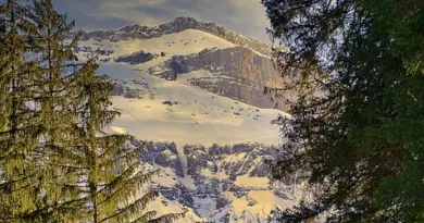 « C’est fou, c’est une grosse émotion » : comment la Haut-Alpine Nélie Clément a éclipsé l’armada kenyane