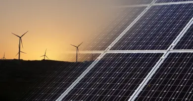 Cet industriel achète une méga batterie couplée à du solaire sans aides publiques