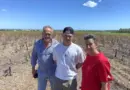 « Cette année va être difficile » : dans l’incendie de la Gardiole, ce jeune viticulteur a perdu 4, 5 hectares de vignes plantées par sa famille en 1999
