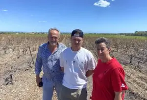 « Cette année va être difficile » : dans l’incendie de la Gardiole, ce jeune viticulteur a perdu 4, 5 hectares de vignes plantées par sa famille en 1999