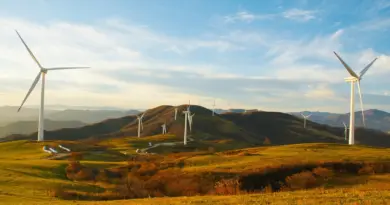 « Cette éolienne flotte et alimente une ville entière » : le monstre marin qui change la donne de l’énergie renouvelable en mer