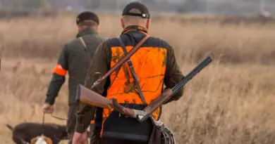 Chasse : les accidents repartent légèrement à la hausse, 11 chasseurs tués sur la saison 2024-2025