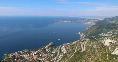 Chikungunya en France: 12 foyers de transmission recensés, deux cas identifiés à Toulon et Fréjus – Var-Matin