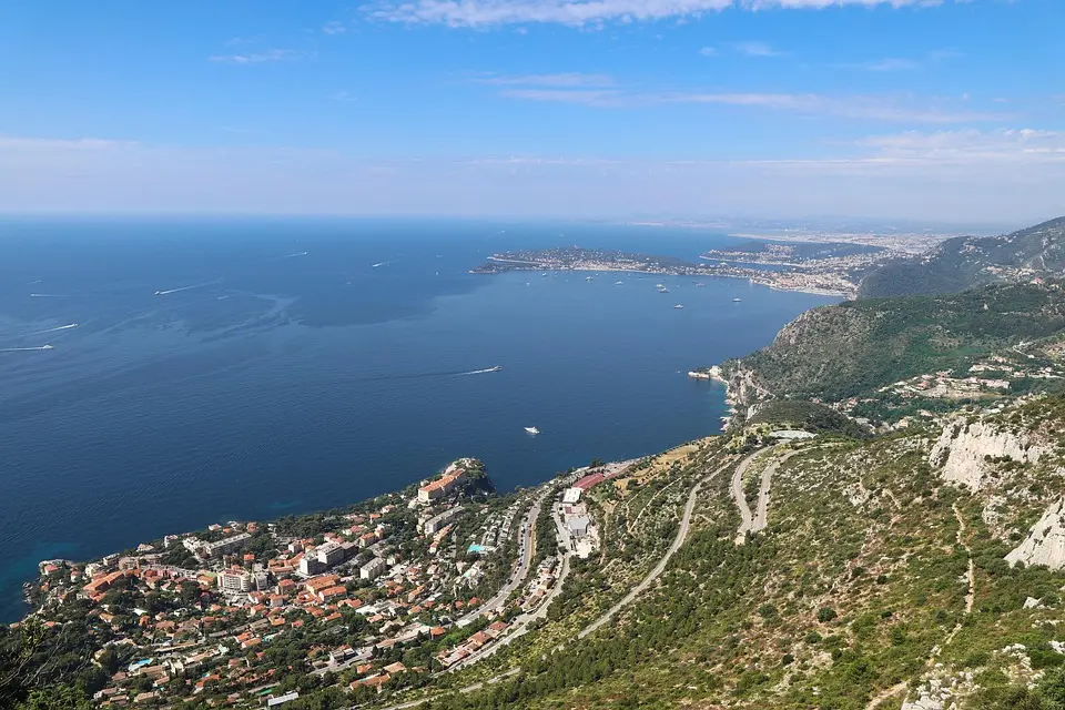 Chikungunya en France: 12 foyers de transmission recensés, deux cas identifiés à Toulon et Fréjus – Var-Matin