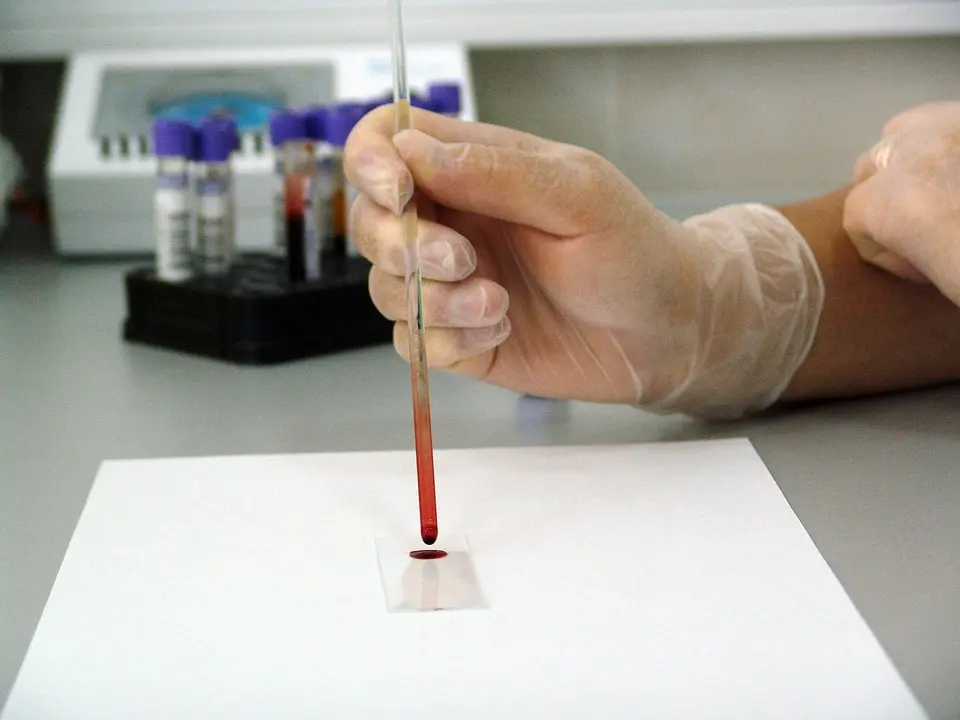 Chikungunya : l’OMS appelle à agir pour éviter des épidémies majeures