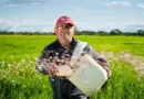 Chine : les néo-paysans révolutionnent l’agriculture grâce aux réseaux sociaux
