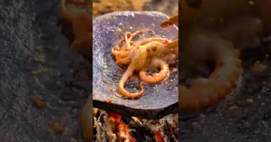 Chinese rural cuisine, outdoor slate grilled squid, village cooking