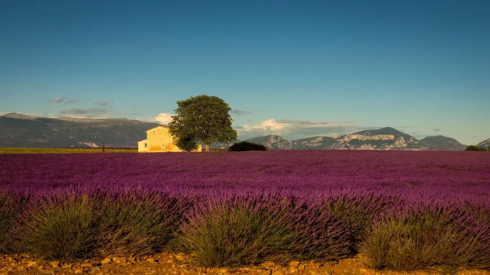 Chronique Aix