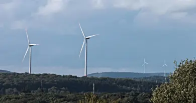 Climat : en Afrique, des solutions tech locales émergent face à l’urgence