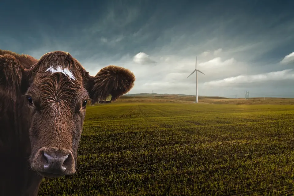 Climat: le Canada pourrait faire l’objet de poursuites