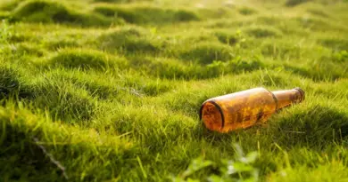 Collectivités et IA : entre opportunités et vigilance
