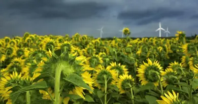 Comment la lumière du soleil alimente l’avenir de l’hydrogène vert