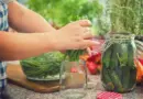 Conserves et toxine botulique : faut-il arrêter de consommer des conserves artisanales ?